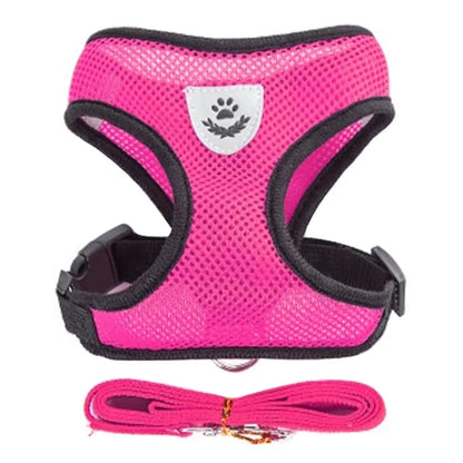 Pet Harness