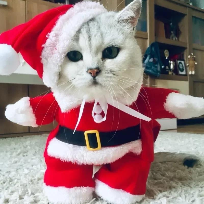 Pet Dog Christmas Clothes Santa Claus Dog Costume Winter Puppy Pet Cat Coat Jacket Dog Suit with Cap Warm Clothing for Dogs Cats