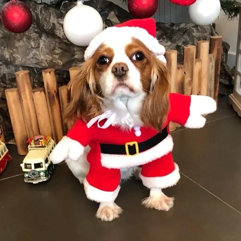 Pet Dog Christmas Clothes Santa Claus Dog Costume Winter Puppy Pet Cat Coat Jacket Dog Suit with Cap Warm Clothing for Dogs Cats